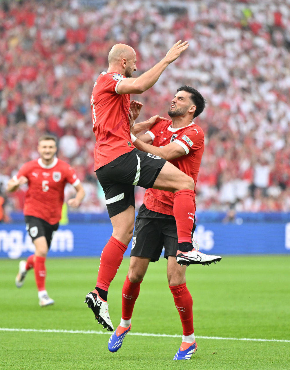 波兰队鏖战奥地利队，张本智和关键制胜的简单介绍